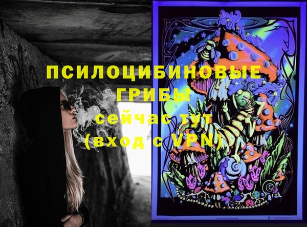 амф Богданович