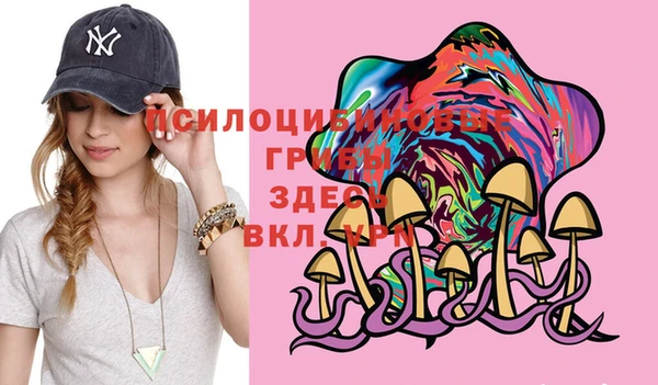 мдма Богородицк