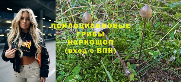 амф Богданович